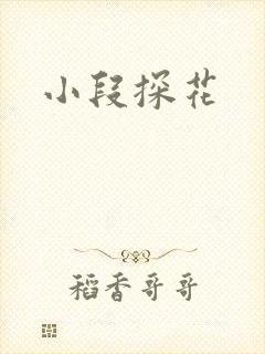 小段探花