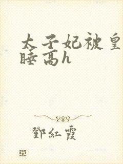 太子妃被皇上强睡高h