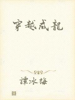 穿越成龙