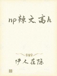 np辣文高h