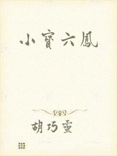 小宝六凤封面