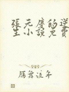 张元庆的逆袭人生小说免费阅读封面