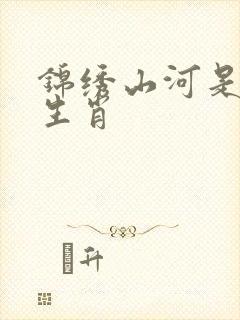 锦绣山河是什么生肖