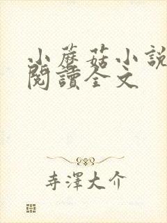 小蘑菇小说免费阅读全文