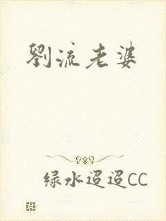 刘流老婆