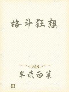 格斗狂想