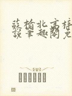 苏榆北高梓淇小说笔趣阁免费阅读封面