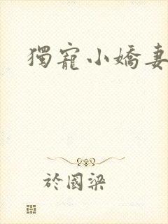 独宠小娇妻