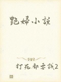 艳妇小说