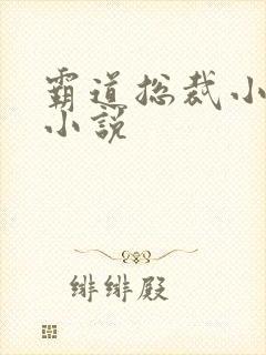 霸道总裁小娇妻小说