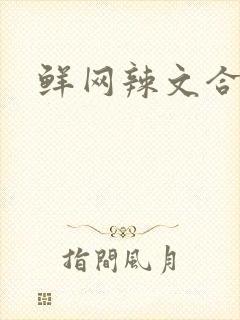 鲜网辣文合集封面