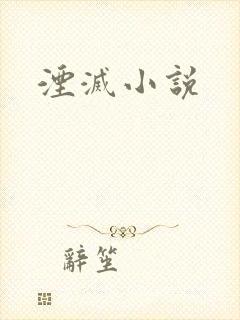 湮灭小说