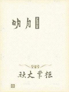 明月珰封面