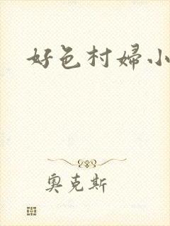 好色村妇小银贼封面