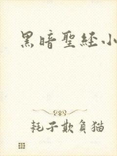 黑暗圣经小说