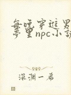 每晚穿进男神的梦里npc小说封面