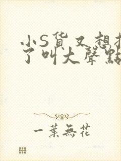 小S货又想挨C了叫大声点小