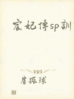 宸妃传sp训诫