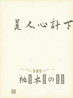 美人心计下载封面