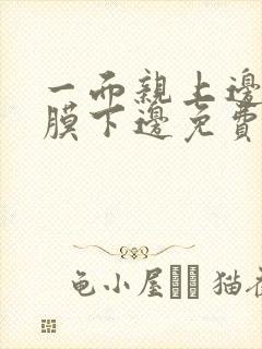 一面亲上边一面膜下边免费阅读