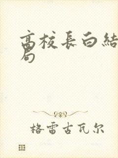 高校长白结大结局