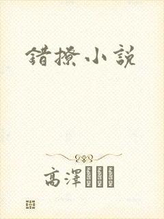 错撩小说