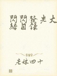 闪闪发光大团圆结目录封面