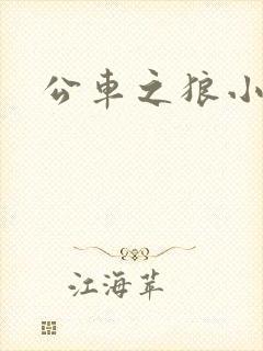 公车之狼小说