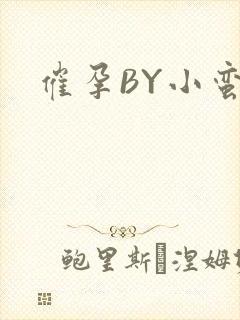 催孕BY小蛮腰