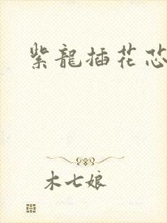 紫龙插花芯方正