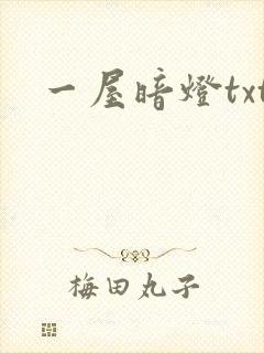 一屋暗灯txt