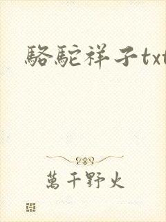 骆驼祥子txt