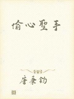偷心圣手
