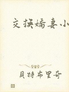 交换娇妻小说
