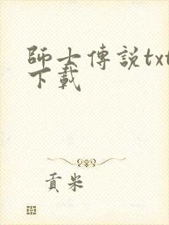 师士传说txt下载