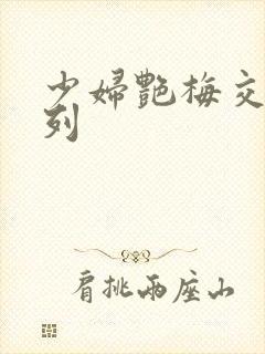 少妇艳梅交换系列封面