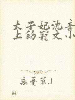太子妃沈音和皇上的宠文小说封面