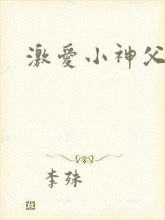 激爱小神父