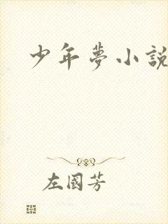 少年梦小说