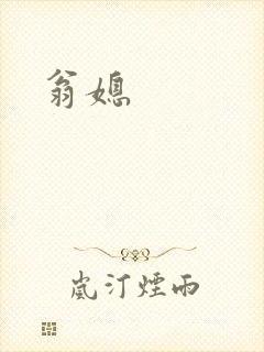 翁媳封面