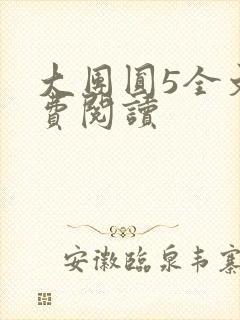 大团圆5全文免费阅读