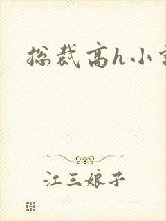 总裁高h小说封面