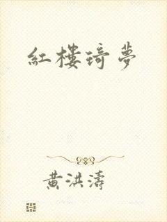 红楼琦梦封面