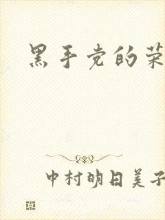 黑手党的荣耀