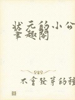 状元的小公主 笔趣阁