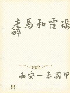 老马和霍瑶瑶喝醉封面