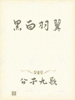黑白羽翼