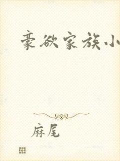 豪欲家族小说