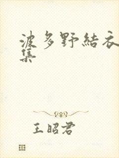 波多野结衣作品集封面