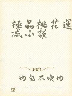 极品桃花运未删减小说